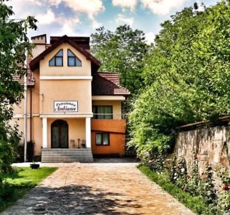Pensiunea Ambiance Pensión Piatra Neamţ