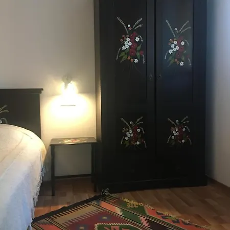 Pensiunea Ambiance Pensión Piatra Neamţ