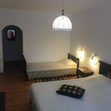 Pensión Pensiunea Ambiance 3*