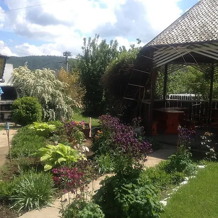 Pensiunea Ambiance 3* Piatra Neamţ