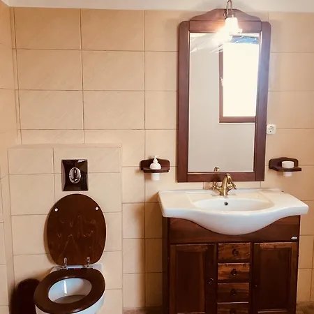 Pensiunea Ambiance Piatra Neamţ